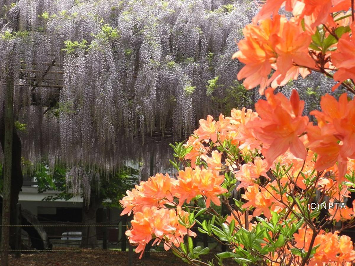 Hotel Le Grand Kyu Karuizawa Zewnętrze zdjęcie
