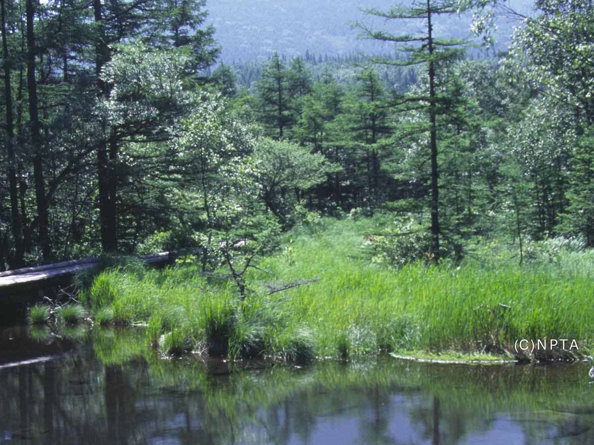 Hotel Le Grand Kyu Karuizawa Zewnętrze zdjęcie
